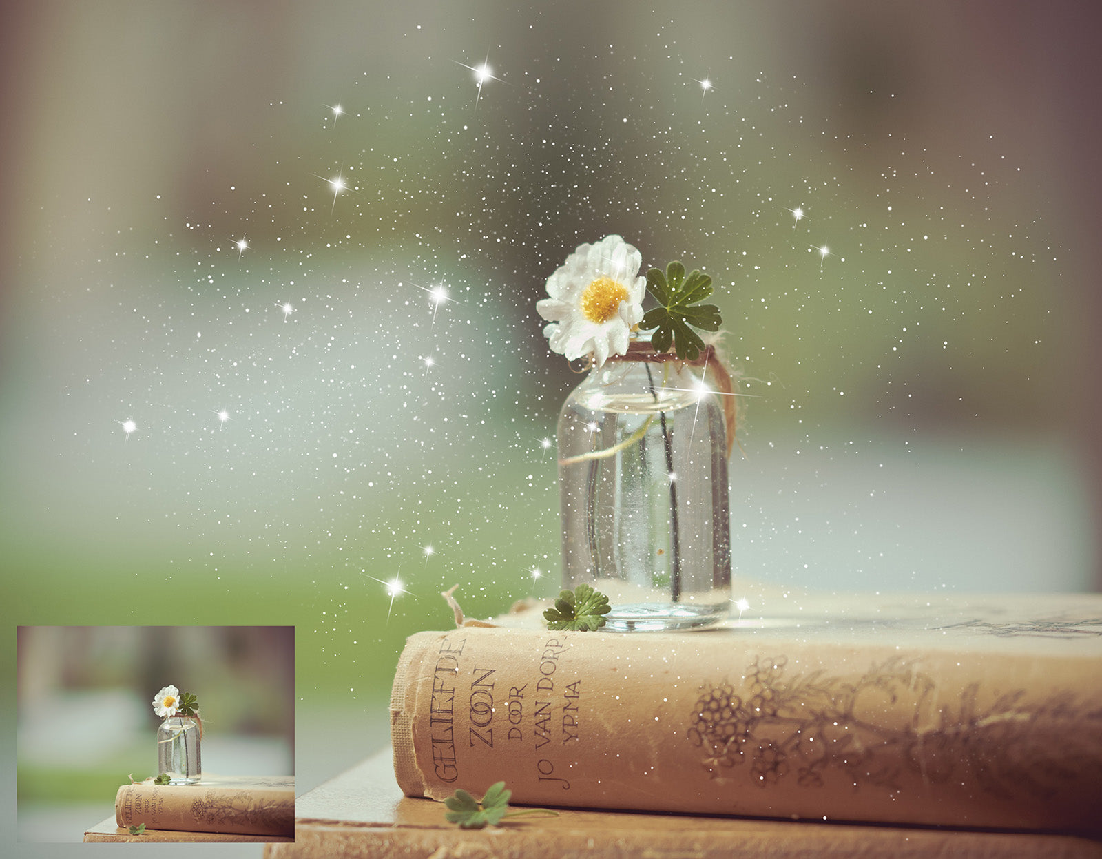 Magical Fairy sparkle and dust Photoshop brushes for photography and digital design.  Digital Stamps for scrapbooking, photography and graphic design. Assets and Add ons. High resolution digital files.  ATP Textures
